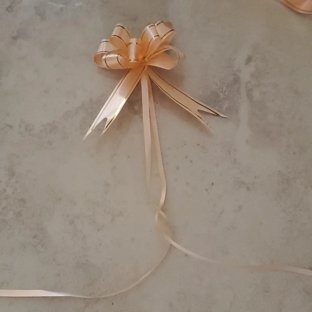 Peach Ribbon/Bow nwot